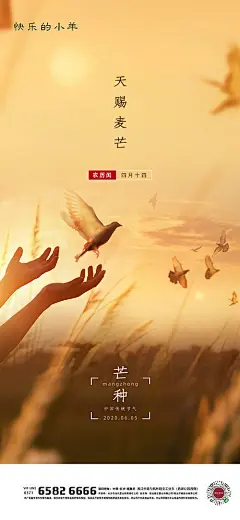 【源文件下载】 海报 房地产 芒种 二十四节气 小鸟 477676
