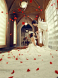 每个女孩都有一个婚纱梦 — 唯美图片大全 QQJAY空间站