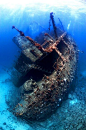 Shipwreck, Red Sea