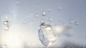 DUSK flare CGI droplets orchid water sunset Flowers