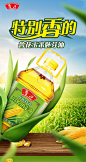 鲁花压榨特香玉米胚芽油1.6L非转基因物理压榨食用油食品玉米油-tmall.com天猫