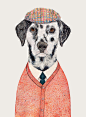 Dalmatian Art Print, Dalmatian Illustration, Dalmatian Poster, Dog in Suit, Dapper Dog, Animal Crew