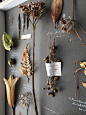 (396) Pinterest