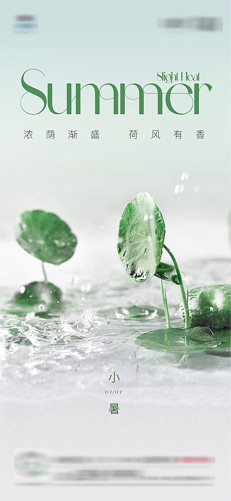 小暑荷花海报-源文件
