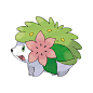 宝可梦图鉴 | The official Pokémon Website in China : 宝可梦图鉴正式开放！ 快来查询你最喜欢的宝可梦情报吧！