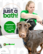 Social Media - PetShop PetNmIND :: Behance