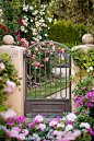 entry into rose garden: 