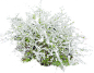 喷雪花