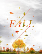 Typography Inspiration