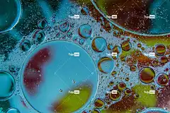 油滴 大自然壁纸 Windows壁纸 笔记本电脑壁纸 全高清壁纸