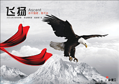 诸葛旺财采集到企业文化