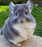 (127) Pinterest