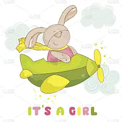 飞机上的兔子-迎婴派对或抵港卡