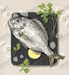 手绘海鲜插画海报 【酷图网】油画,颜料涂鸦,海洋鱼类,海鲜,插画,小清新,动物手绘,鱼类,虾,贝壳,海洋生物,热带鱼,食材,食物手绘,手绘海鲜,海鲜插画,手绘鱼类,插画鱼