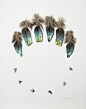 羽毛的艺术--转至新软装网【www.xinrz.com】