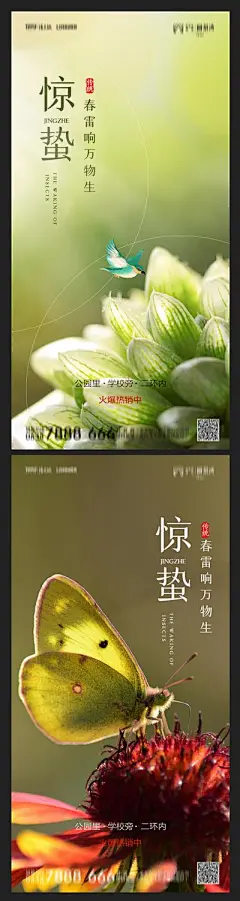 【南门网】海报 地产 二十四节气 惊蛰 氛围 蝴蝶 小鸟 精致 版式