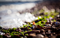 General 2560x1600 sea rock nature bokeh pebbles macro seaweed sunlight depth of field tilt shift