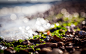 General 2560x1600 sea rocks nature bokeh pebbles macro seaweed sunlight depth of field tilt shift