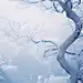 简约大气霜降冬至传统节气插画海报背景-众图网