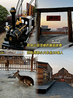 小薇1029采集到恐龙元素