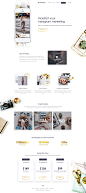 Kickstagram Homepage
by Barbara Morrigan for Fireart Studio 