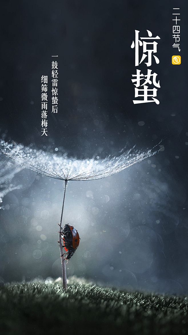 清明设计二十四节气壁纸惊蛰