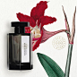 A transparent lily with great character. An enveloping heart of incense whose woody note invites to meditate. A harmony that ends on a bed of white musk, covering the skin with softness. Passage d’Enfer is a soothing, deep and intimate fragrance.
In which