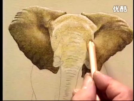 美丽的彩色铅笔画示范--大象.flv—专...