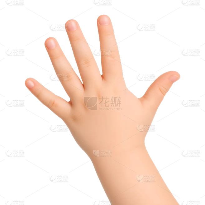 常规内容-人体部位系列写实感人体手部五指张开元素素材-花瓣网