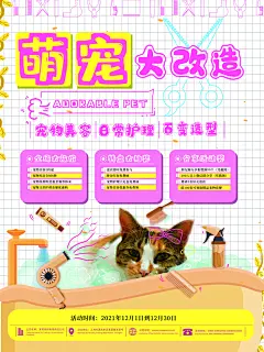 宠物商店海报寄养兽医狗猫粮食柯基美容