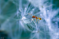 Photograph Dandelion Restaurant by Miki Asai on 500px