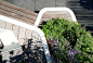 郁郁葱葱的屋顶花园 by Terrain 
