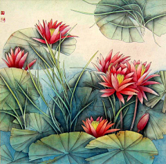 金宝宝采集到彩云之南（西双版纳）