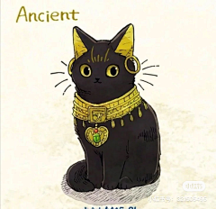 刃兔兔采集到猫