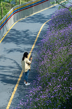 夏天的虎采集到彩色路面