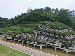 刘小二的2采集到边坡植物