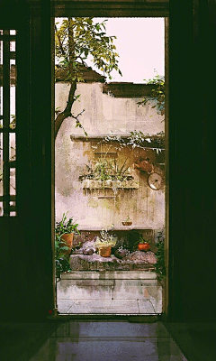 吃花的果冻采集到水彩