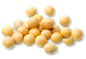 Soybean PNG