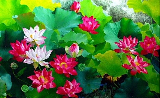 荷风雅颂—吴富荣油画