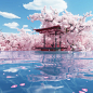 水面漂浮亭，樱花，湖水，天空海报