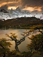 sublim-ature:

Fitz Roy, ArgentinaMichael Anderson
