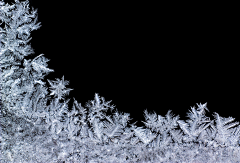 纸羽~LRYA采集到冰霜 冰花 冰花雪