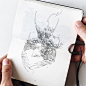 Handdrawn : A compilation of recent selected handdrawn illustrations and sketches.Prehistoric creatures, beasts and feathers.