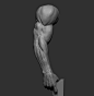 Male arm poses