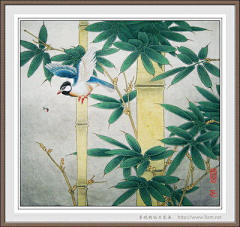 禅静采集到工笔花鸟兽