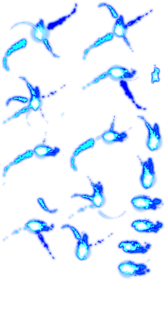 nanine采集到特效PNG素材