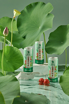 无氧的空气采集到代用茶