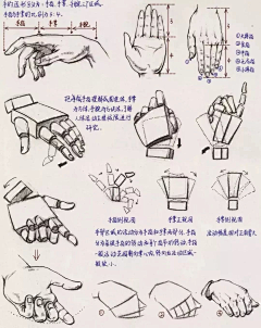 木卯日生采集到手势