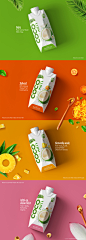 CocoXim Coconut Water : Client: Betrimex & TTC VietnamProject: CocoXim Coconut Water Product BrandingLaunched: 2015Team: Wildfire Collaborative - Brand ConsultancyCreative Direction: Anthony ChewLead Designer: Ngo Do Quyen & Anthony ChewSupport De