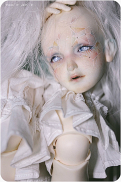 岛屿上的鱼和鸟采集到BJD